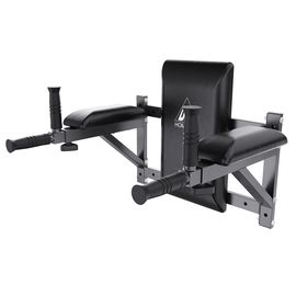 Брусья настенные DFC Homegym G294