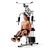 Силовой комплекс DFC HomeGym D7000-60 / стек 60 кг