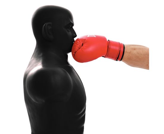 Манекен  Boxing Punching Man-Medium TLS-BB (черный)