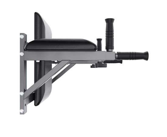 Брусья настенные DFC Homegym G294