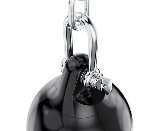 Водоналивной боксерский мешок DFC CENTURION LB01