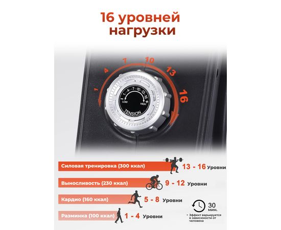 Гребной тренажер DFC ECHANFIT, складной