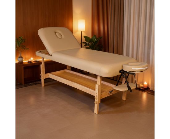 Массажный стационарный стол DFC SUPERIOR2 TS200/2 с регулировкой для спины/ног