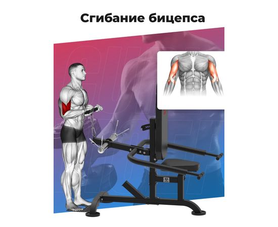 Тренажер для бицепса и трицепса DFC D2003A