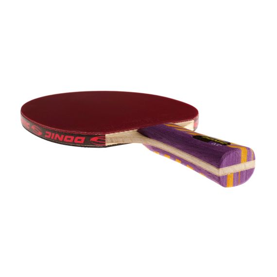 РАКЕТКА DONIC TESTRA AR