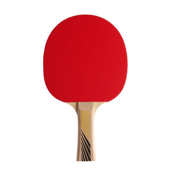 РАКЕТКА DONIC LEGENDS 200