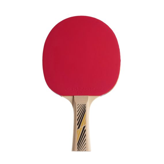 РАКЕТКА DONIC LEGENDS 300