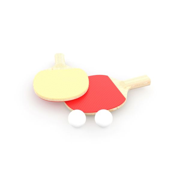 ТЕННИСНЫЙ СТОЛ ДЕТСКИЙ DFC DANDELION 48" JG-T-84822