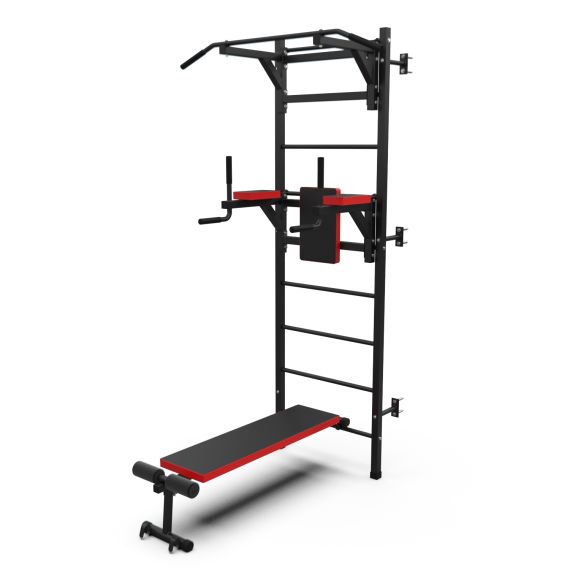 ШВЕДСКАЯ СТЕНКА С ОПЦИЯМИ DFC LITE VT-6006 (D-1235)