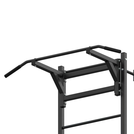 ШВЕДСКАЯ СТЕНКА С ОПЦИЯМИ DFC LITE VT-6001 (D-12)