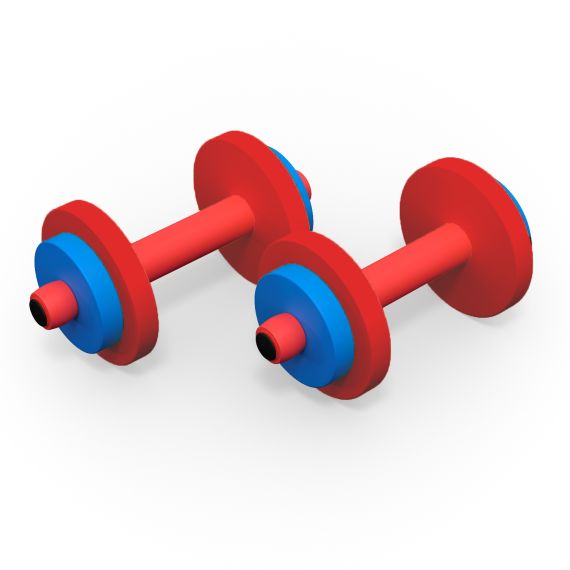 ГАНТЕЛИ ДЕТСКИЕ DFC (КОМПЛЕКТ 2 ШТ) VT-2009