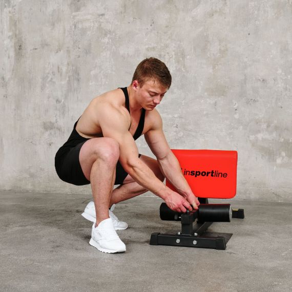 ТРЕНАЖЕР ДЛЯ ПРИСЕДАНИЙ DFC INSPORTLINE