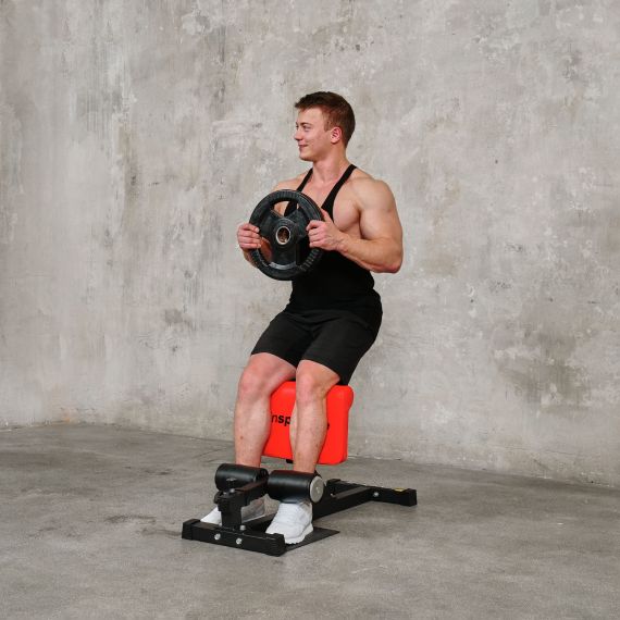 ТРЕНАЖЕР ДЛЯ ПРИСЕДАНИЙ DFC INSPORTLINE