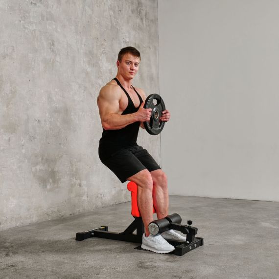 ТРЕНАЖЕР ДЛЯ ПРИСЕДАНИЙ DFC INSPORTLINE