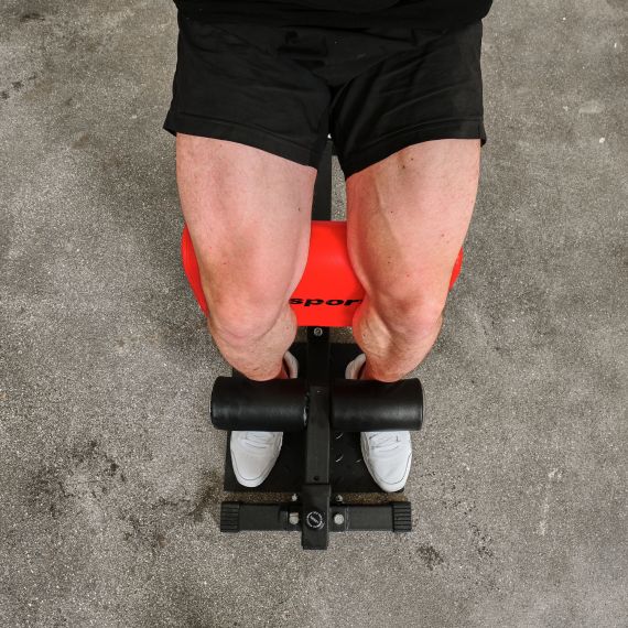 ТРЕНАЖЕР ДЛЯ ПРИСЕДАНИЙ DFC INSPORTLINE