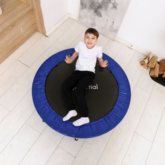 БАТУТ DFC KINERTIAL 48'' СИНИЙ