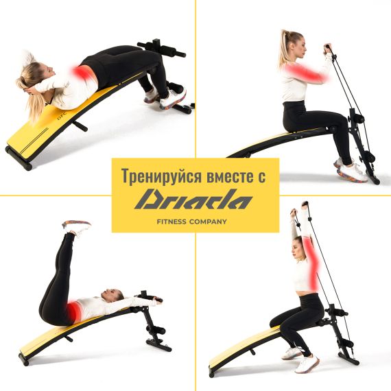 СКАМЬЯ ДЛЯ ПРЕССА DFC D102Y