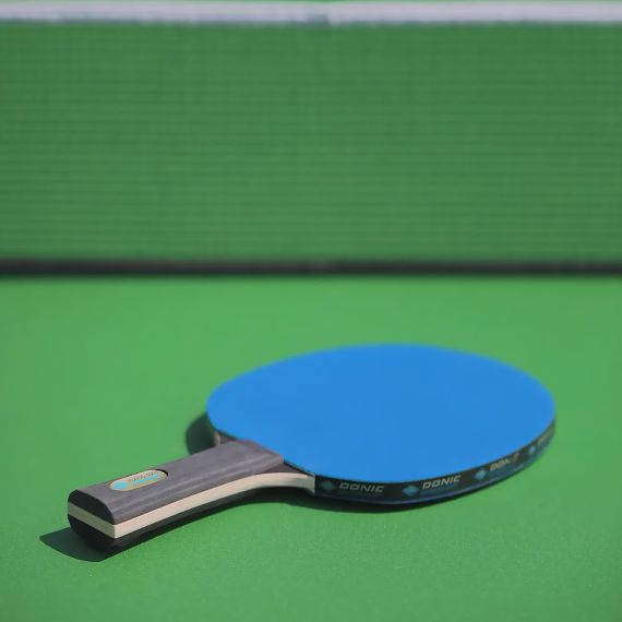 РАКЕТКА DONIC COLOR Z BLUE