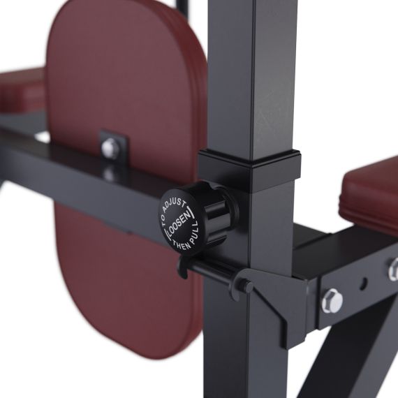 ТУРНИК-БРУСЬЯ DFC POWER TOWER G009B