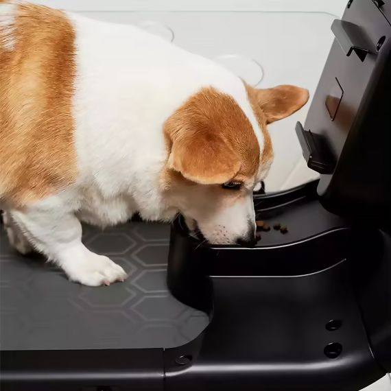 БЕГОВАЯ ДОРОЖКА YESOUL ДЛЯ СОБАК