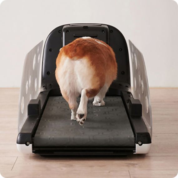 БЕГОВАЯ ДОРОЖКА YESOUL ДЛЯ СОБАК