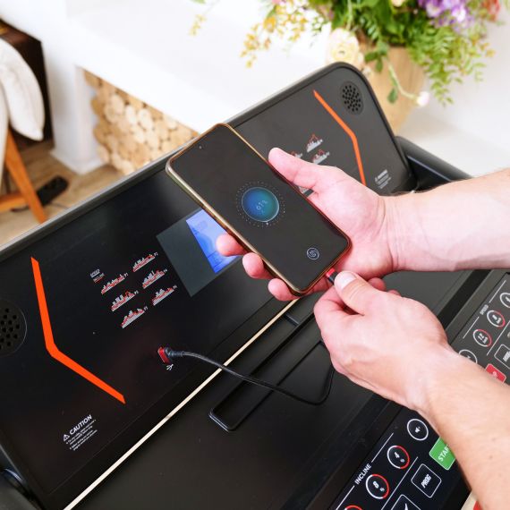 БЕГОВАЯ ДОРОЖКА DFC X-FIT T-2SLIM