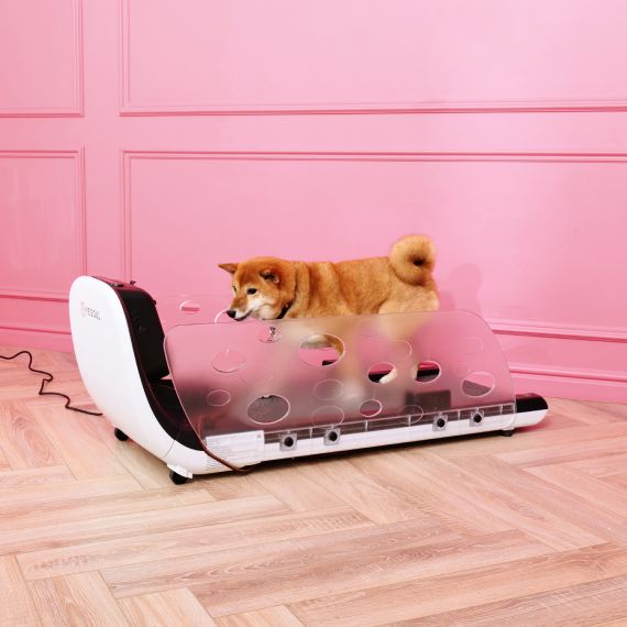 БЕГОВАЯ ДОРОЖКА YESOUL ДЛЯ СОБАК