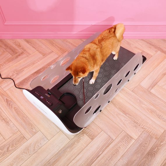 БЕГОВАЯ ДОРОЖКА YESOUL ДЛЯ СОБАК