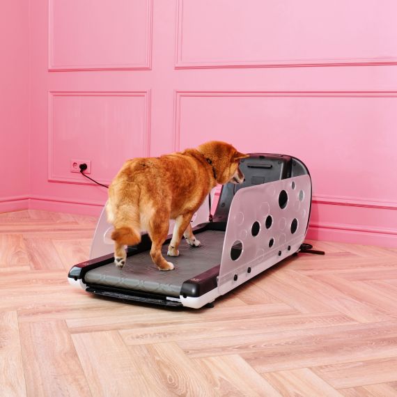 БЕГОВАЯ ДОРОЖКА YESOUL ДЛЯ СОБАК