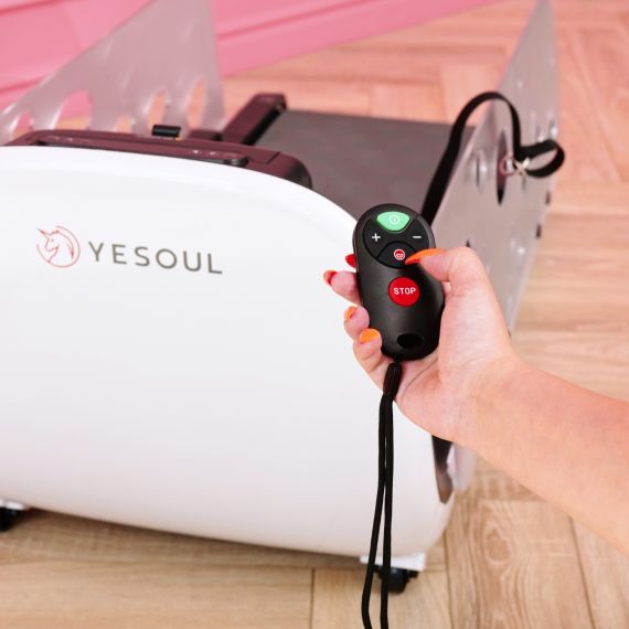 БЕГОВАЯ ДОРОЖКА YESOUL ДЛЯ СОБАК