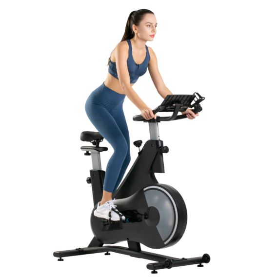 СПИН-БАЙК DFC OVICX B-Q210B