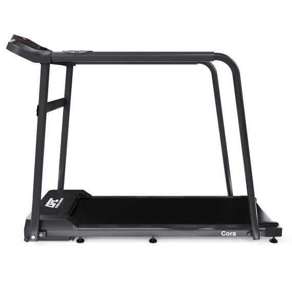 БЕГОВАЯ ДОРОЖКА DFC CORA T165