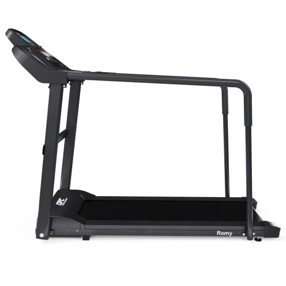 БЕГОВАЯ ДОРОЖКА DFC ROMY T195