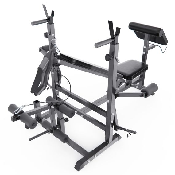 СКАМЬЯ СО СТОЙКАМИ ПОД ШТАНГУ DFC GYRONETICS GN008 С ПАРТОЙ ДЛЯ БИЦЕПСА