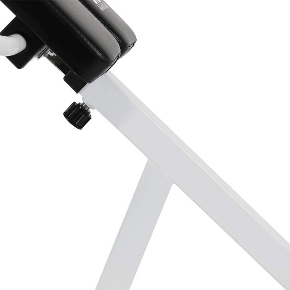 ГИПЕРЭКСТЕНЗИЯ DFC DBCH19W (БЕЛАЯ)