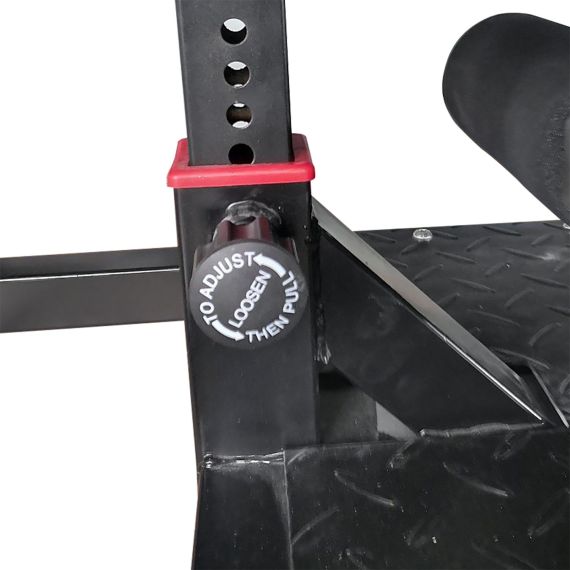 ТРЕНАЖЕР ДЛЯ ПРИСЕДАНИЙ SISSY SQUAT DFC S300