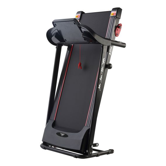 БЕГОВАЯ ДОРОЖКА DFC ARION T170