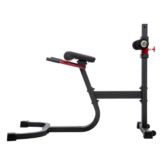 ГИПЕРЭКСТЕНЗИЯ DFC SUB3013RC