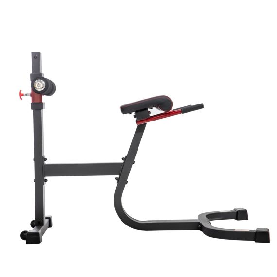 ГИПЕРЭКСТЕНЗИЯ DFC SUB3013RC