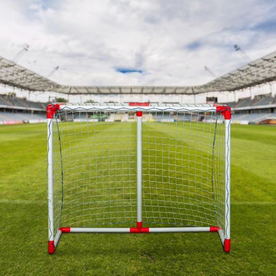 НАБОР ДЕТСКИЙ DFC ДЛЯ ИГРЫ НА ТРАВЕ GOAL121A2