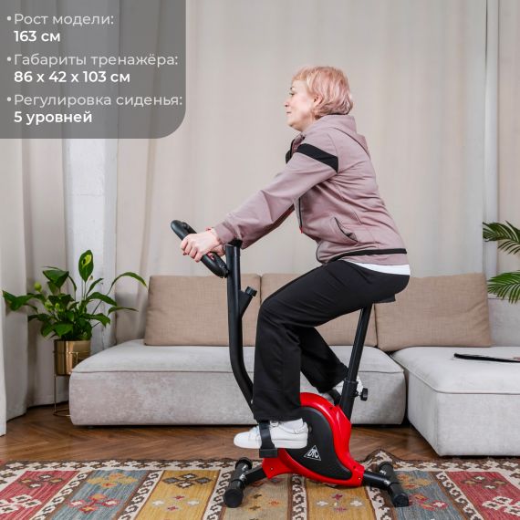 ВЕЛОТРЕНАЖЕР DFC B209