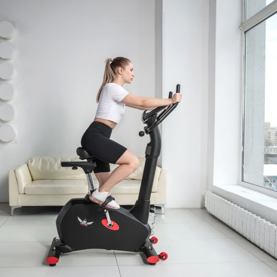 ВЕЛОТРЕНАЖЕР DFC CARDIO B255P ЭЛЕКТРОМАГНИТНЫЙ