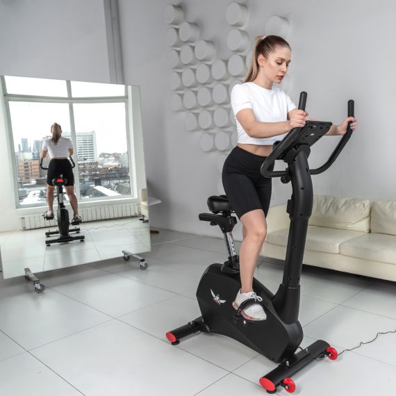 ВЕЛОТРЕНАЖЕР DFC CARDIO B255P ЭЛЕКТРОМАГНИТНЫЙ