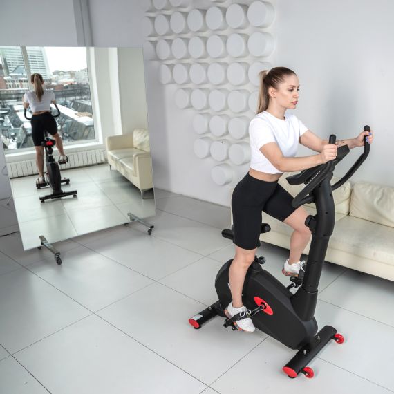 ВЕЛОТРЕНАЖЕР DFC CARDIO B255