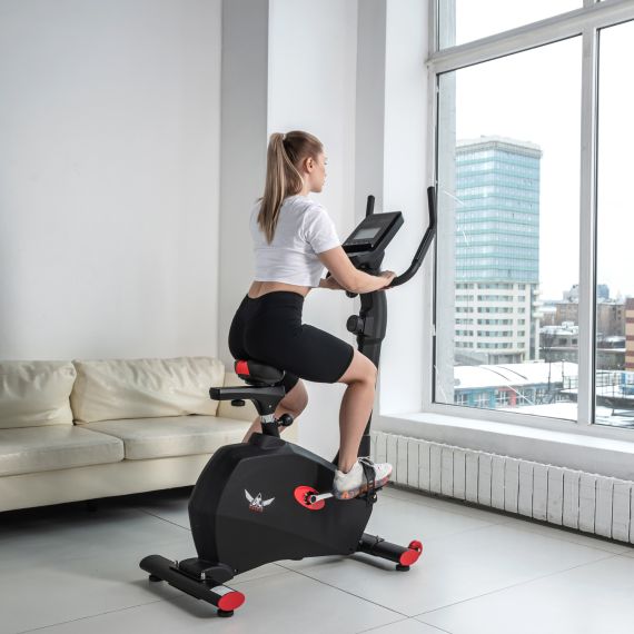 ВЕЛОТРЕНАЖЕР DFC CARDIO B255