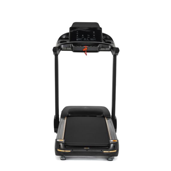 БЕГОВАЯ ДОРОЖКА DFC SANTANA PRO T757