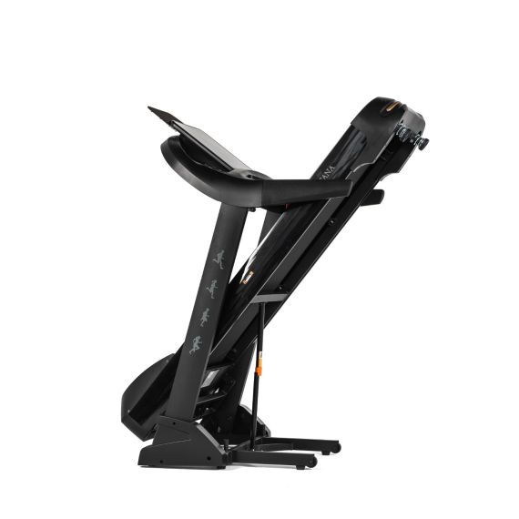 БЕГОВАЯ ДОРОЖКА DFC SANTANA PRO T757