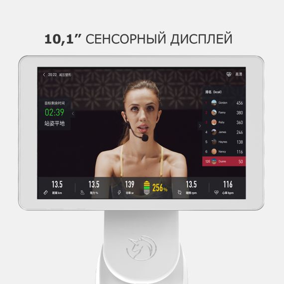 ВЕЛОТРЕНАЖЕР YESOUL BS3-W PRO