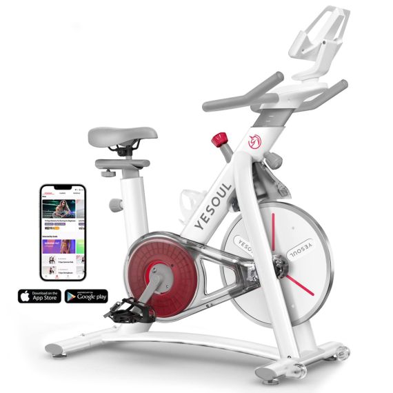 ВЕЛОТРЕНАЖЕР YESOUL BS3-W