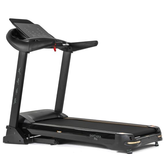 БЕГОВАЯ ДОРОЖКА DFC SANTANA PRO T757